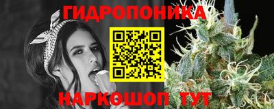 бошки Будённовск