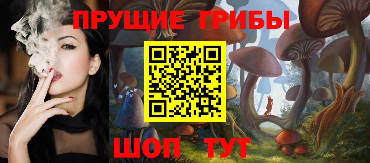 Псилоцибиновые грибы Magic Shrooms  Псилоцибиновые грибы GOLDEN TEACHER  Россошь  Вход с VPN 